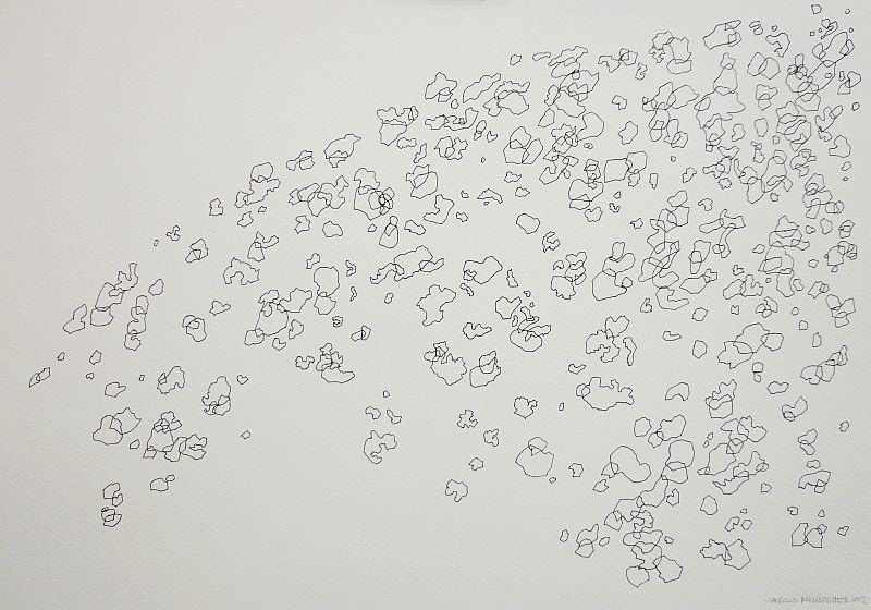 Click the image for a view of: Out there: space junk, tardigrades and asteroid mining 6. 2012. Pen and ink, watercolour. 295X420mm
